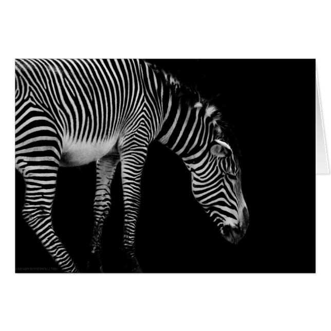 Cartão de Idioma Corpo (Frente horizontal)