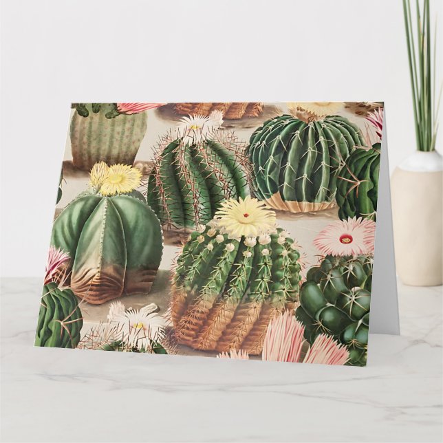 Cartão de Ilustração Cactus Elegante (Frente)