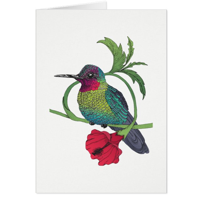 Cartão de Ilustração Colibri Bird (Frente)