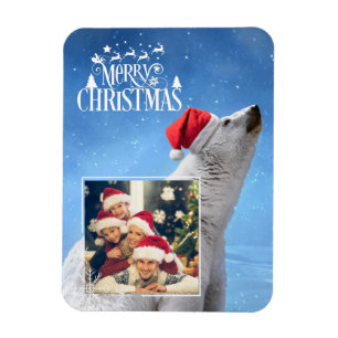 Cartão de Ímã de Foto de Natal do Urso Polar