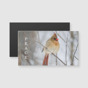 Cartão de Ímã de Foto do Cardinal de Inverno da Pa