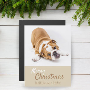Cartão de Ímã de Natal com Foto de Filhote de Bull