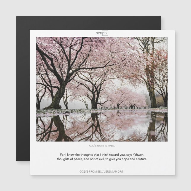 Cartão de imã SCRIPIX para as PROMESSAS de Jeremia (Frente/Verso)