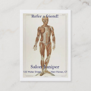 Cartão De Indicação Anatomia anterior
