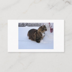 Cartão De Indicação gato floresta norueguesa na neve