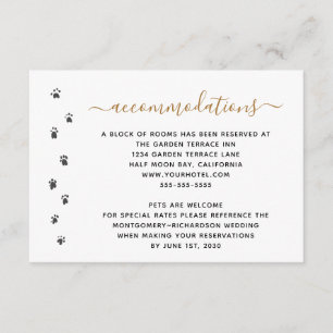 Cartão De Informações Acomodações de Casamento de Humanos Pet Wedding