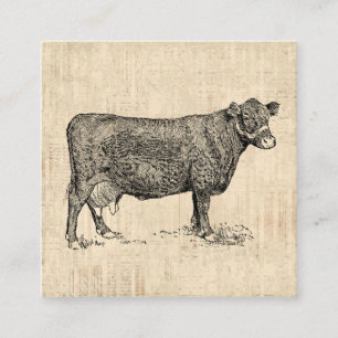 Cartão De Informações Arte Ilustrada De Vaca-País
