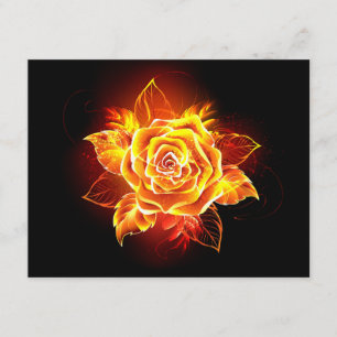Cartão De Informações Blooming Fire Rosa