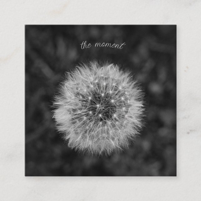 Cartão De Informações Cabeça de semente de Dandelion. Esteja Presente No (Frente)