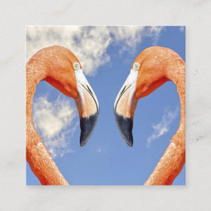 Cartão De Informações Caribe o coração do flamingo