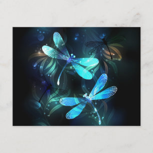 Cartão De Informações Dragonflies de lago