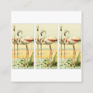 Cartão De Informações Flamingo Antigo