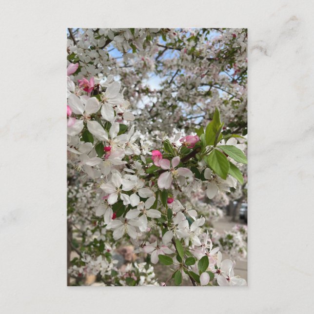 Cartão De Informações Flor de primavera (Frente)