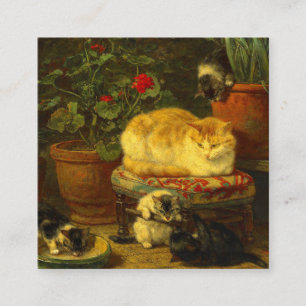 Cartão De Informações Gatinhos ao Brincar