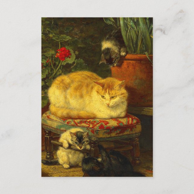 Cartão De Informações Gatinhos no Play (Frente)