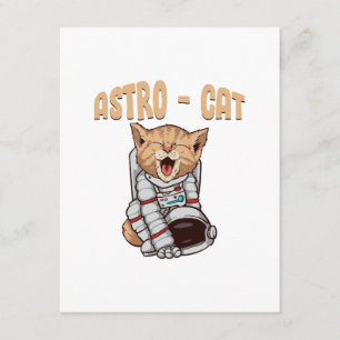 Cartão De Informações Gato Astro