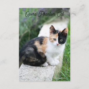 Cartão De Informações Gato Fantasma da Ópera