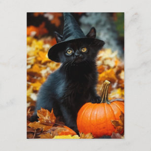 Cartão De Informações Gato Preto de Halloween e Abóbora