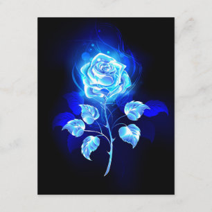 Cartão De Informações Gravação de Rosa Azul