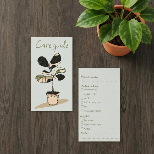 Cartão De Informações Guia de assistência simples para pedidos de Compro (Simple Care Guide for house plant Shop Orders Enclosure Card.)