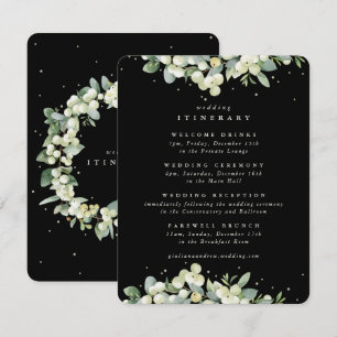 Cartão De Informações Itinerário de Casamento com detalhes em Black Snow