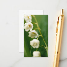 Lily branca do vale (Convallaria majalis)