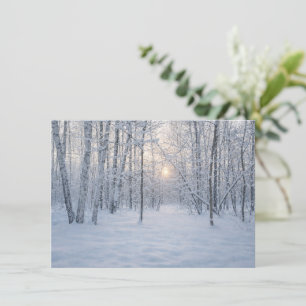 Cartão De Informações Luz Solar de Inverno em Floresta de Bétulas Silenc