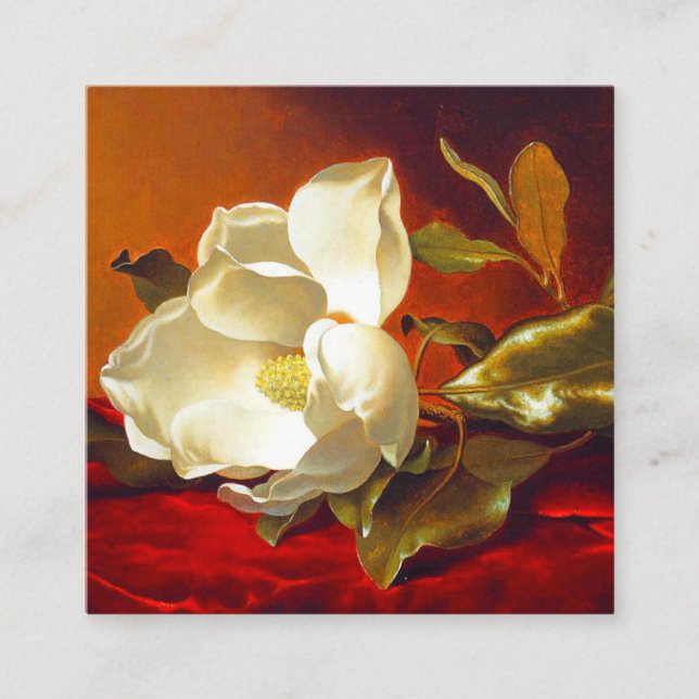 Cartão De Informações Magnolia em Red Velvet Martin Johnson Heade (Frente)