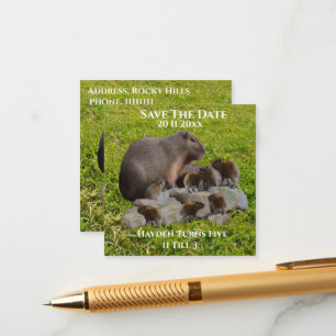 Cartão De Informações Mamãe E Bebê Capybaras, Salve A Data