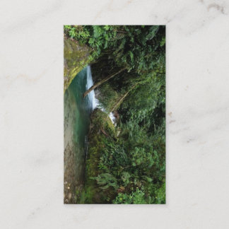 Cartão De Informações Natural design