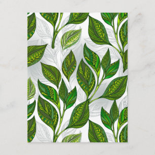 Cartão De Informações Padrão sem costura com folhas verdes de chá
