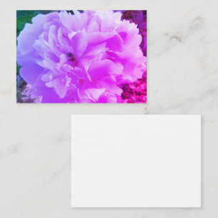 Cartão De Informações Peony Flower com Honey Bee