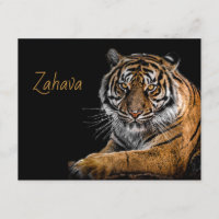 Placa de gabinete do Ouro Tigre