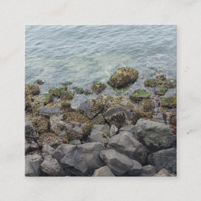 Cartão De Informações rochas da costa (Frente)