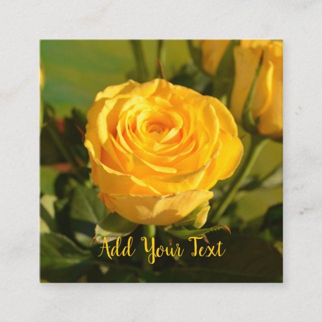 Cartão De Informações Rustic Yellow Rose Custom Text (Frente)
