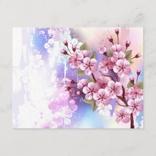 Cartão De Informações Sakura Rosa sobre Fundo de Pintura
