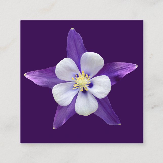 Cartão De Informações Todos os Gards de presentes pequenos quadrados de  (Frente)