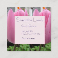 Tulipas Rosa Tulipas Ruas Quadradas do Jardim