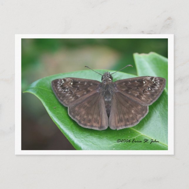 Cartão de Intenções Mensais (Frente)