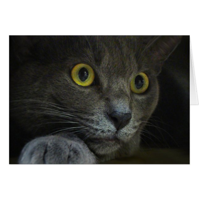 Cartão de Intensidade (Frente Horizontal)