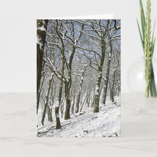 Cartão de inverno para a floresta de Macclesfield (Frente)