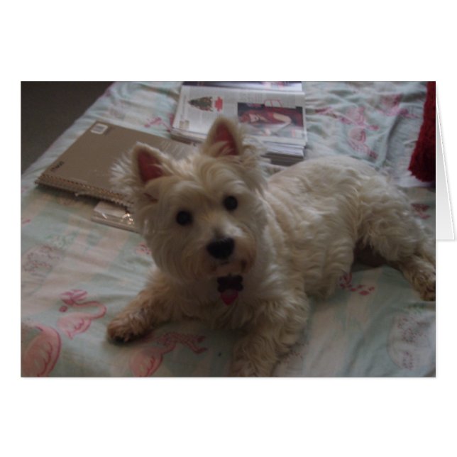 cartão de jack fofo! (Frente Horizontal)