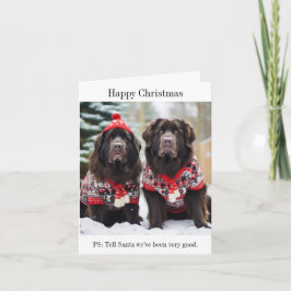 Cartão de Jumpers de Natal de Cães da Terra Nova