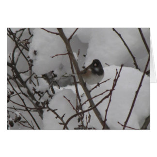 Cartão de Junko do inverno