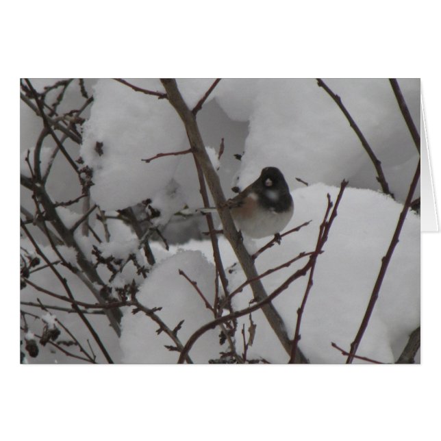 Cartão de Junko do inverno (Frente horizontal)
