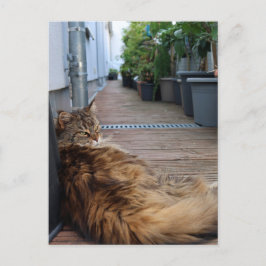 Cartão de lar ou movido