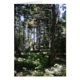 Cartão de Leite Monhegan