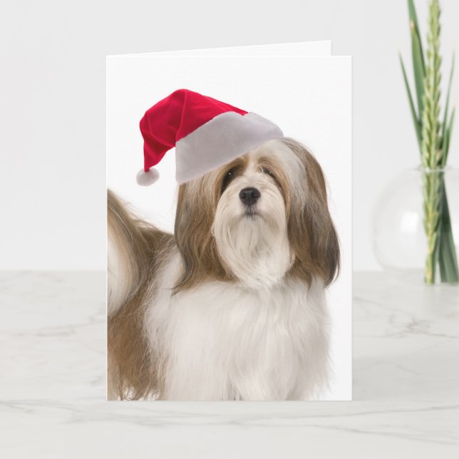 Cartão de Lhasa Apso do papai noel (Frente)