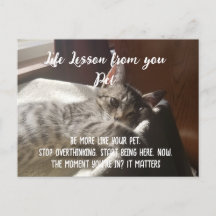 Cartão de Lição de Vida Personalizado para Parar d