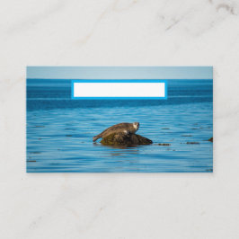 Cartão De Lugar Foca-do-Atlântico